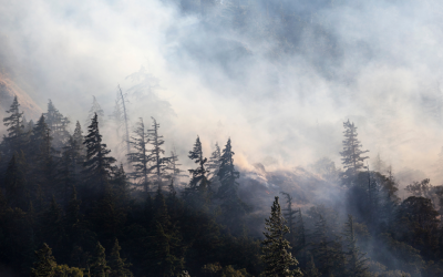 BC. Wildland Firefighter Worried About Smoke Hazards. So He Designed a Solution