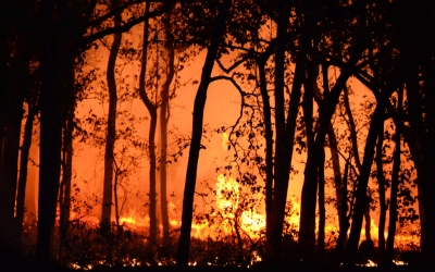 As Wildfire Season Closes, Alberta Reflects on Loss and Lessons