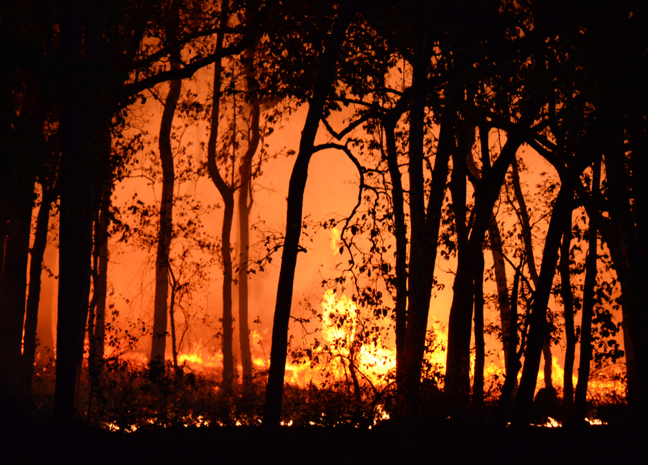 Wildfire Season Closes