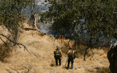 New Fire Maps in California Add 1.4 Million Acres Requiring Stronger Safety Regulations