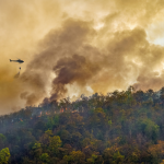 BC Wildfire Service