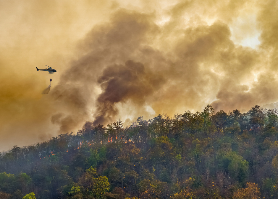 BC Wildfire Service