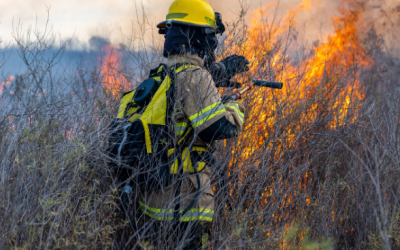 How technology is changing forest firefighting in B.C.