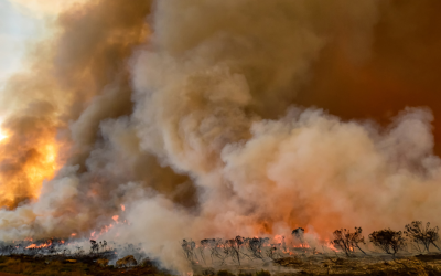 CN Loses Appeal of $16M Penalty For Causing Destructive B.C. Wildfire